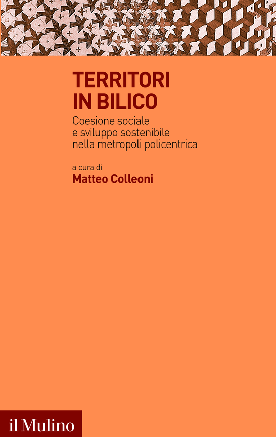 Copertina del libro Territori in bilico