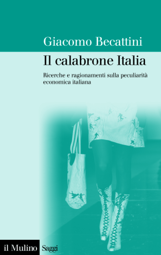 Copertina del libro Il calabrone Italia (Ricerche e ragionamenti sulla peculiarità economica italiana)